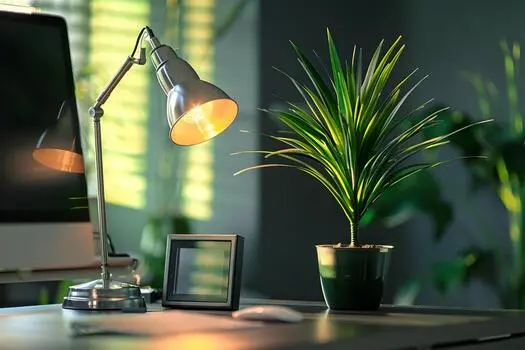 Illustration of a balanced desk with monitor, plant and lamp